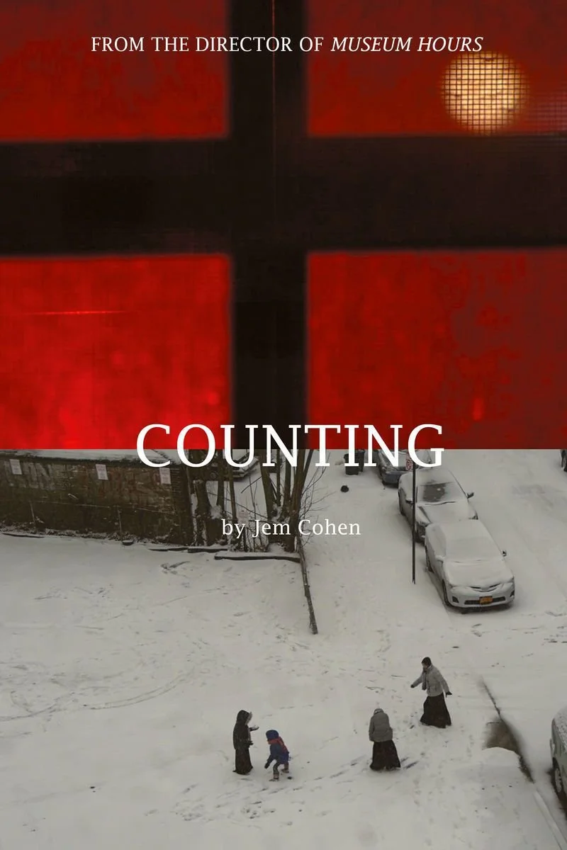 Affiche de Counting