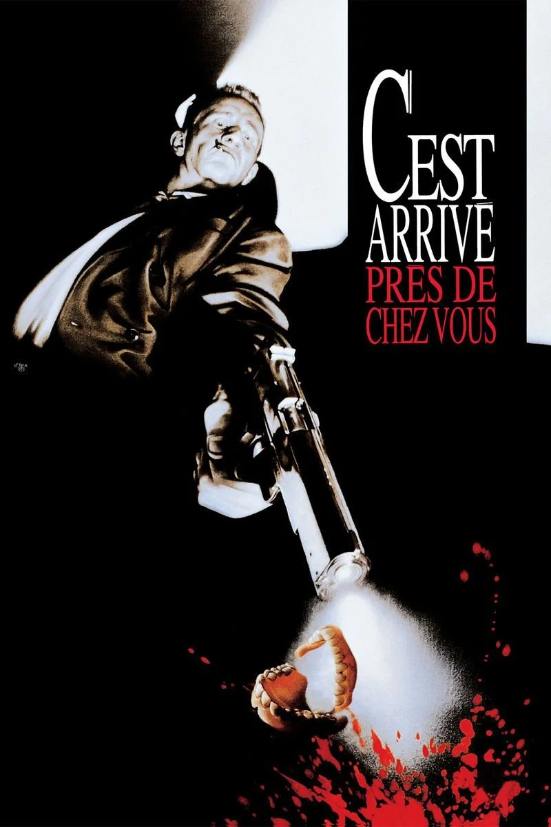 Affiche de C'est arrivé près de chez vous