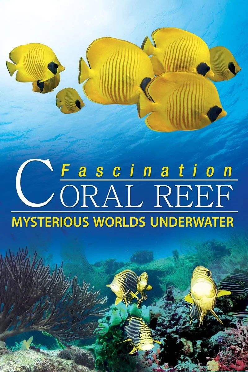 Affiche de Fascination Coral Reef: Mysterious Worlds Underwater