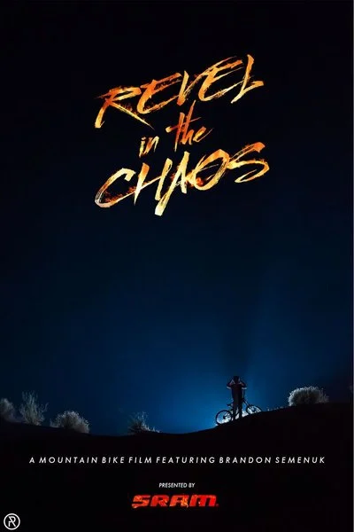 Affiche Revel in the Chaos