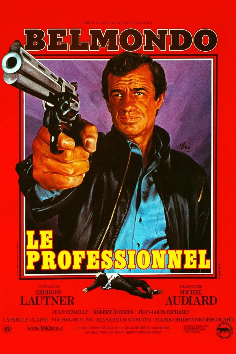 Affiche de Le professionnel