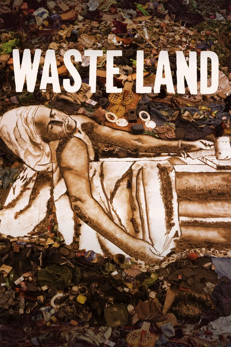 Poster van Waste Land