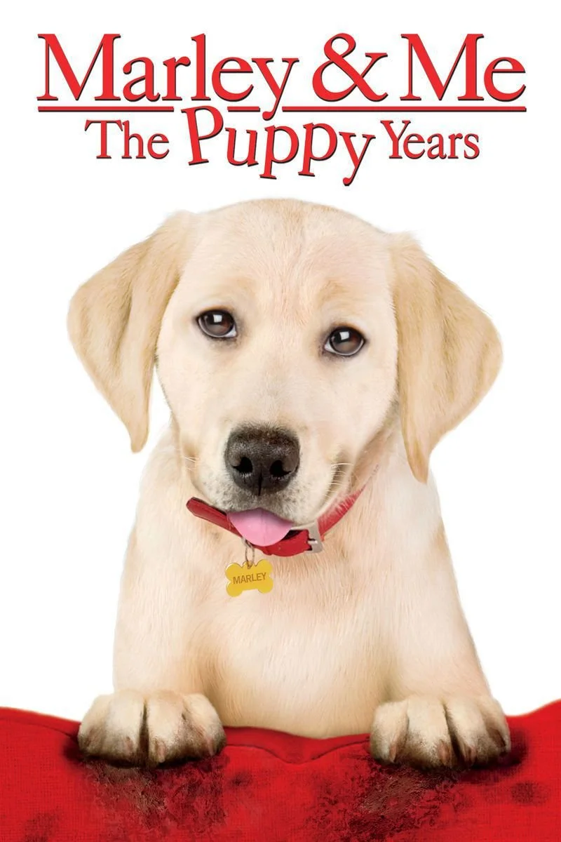 Affiche de Marley & Me: The Puppy Years