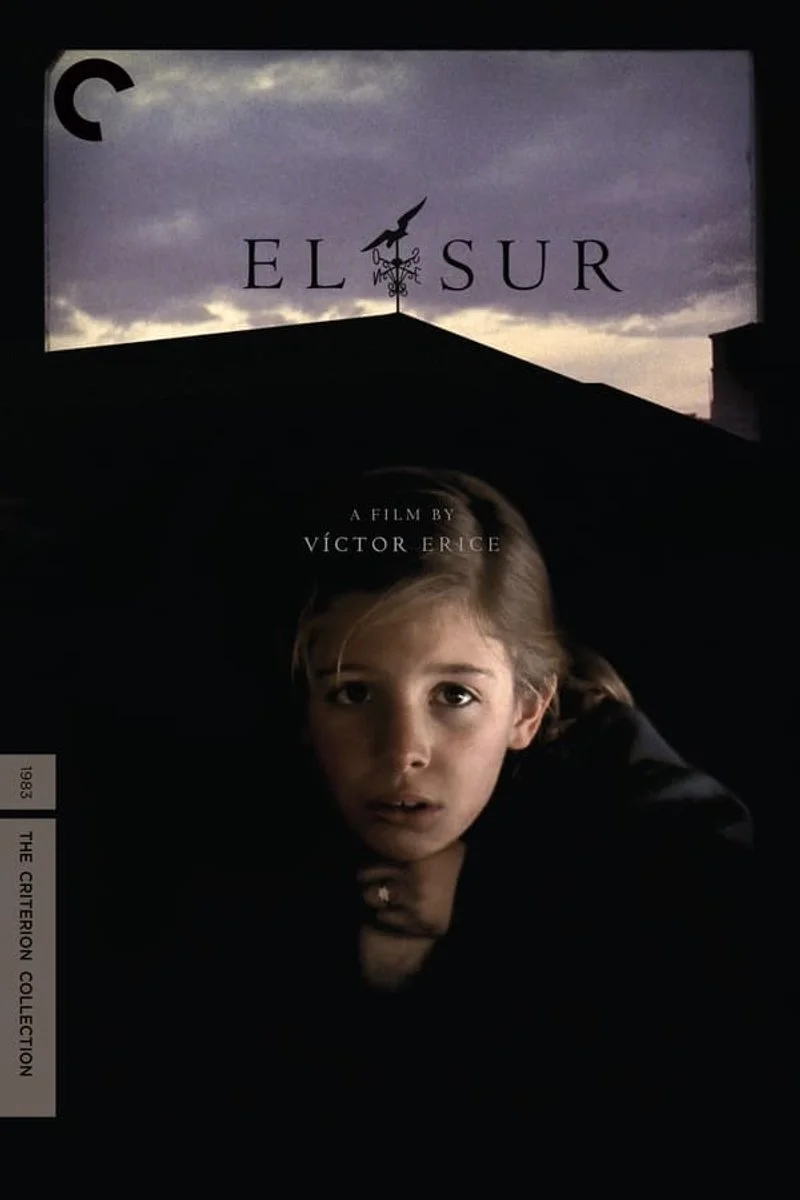 Poster van El Sur