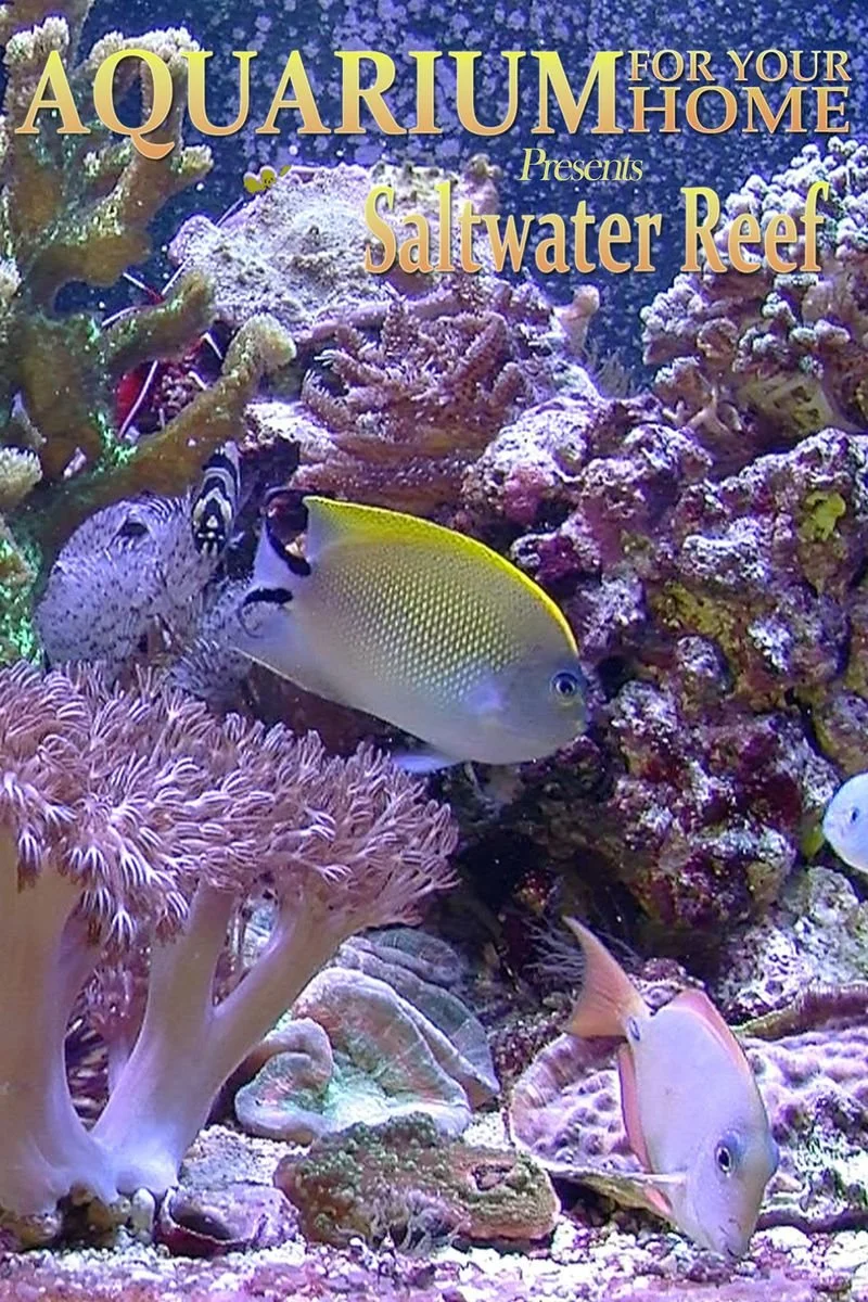 Poster van Aquarium for Your Home Presents Saltwater Reef