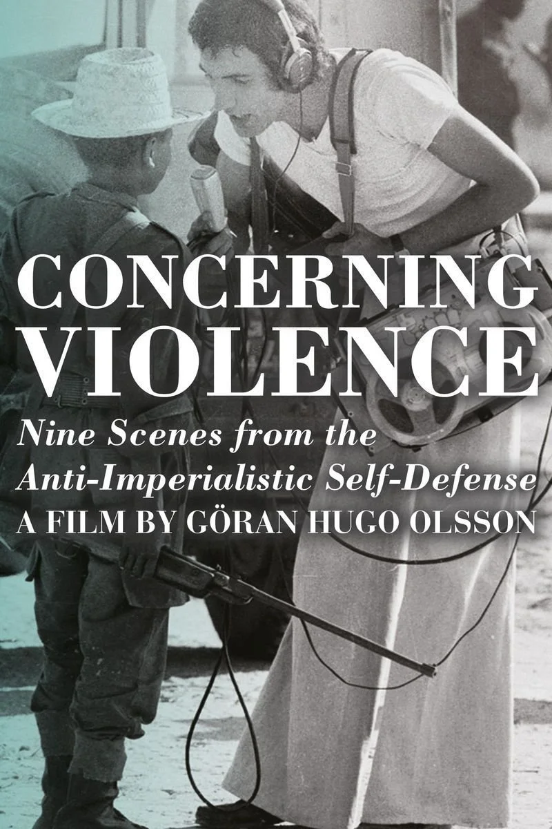 Affiche de Concerning Violence