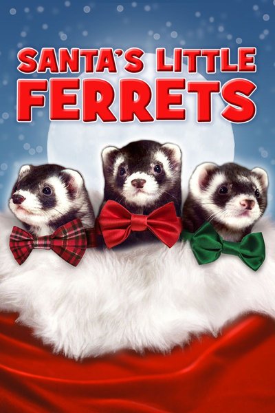 Poster Santa's Little Ferrets