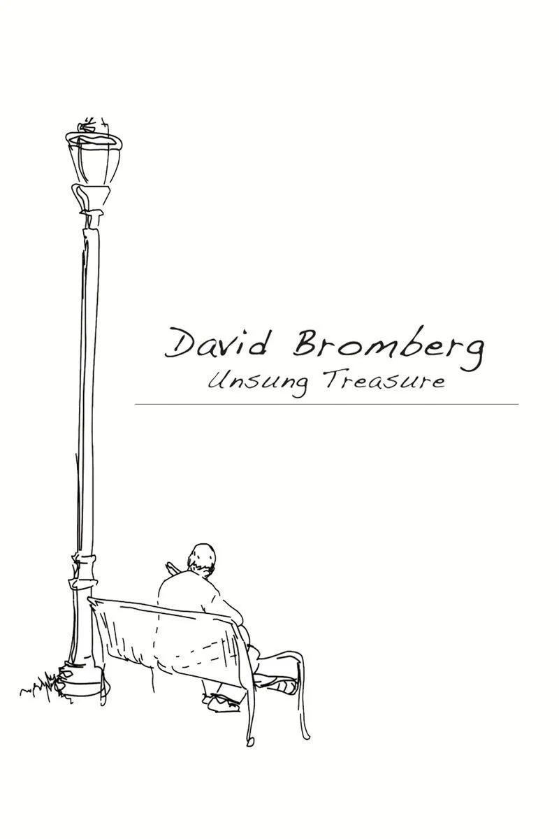 Affiche de David Bromberg: Unsung Treasure