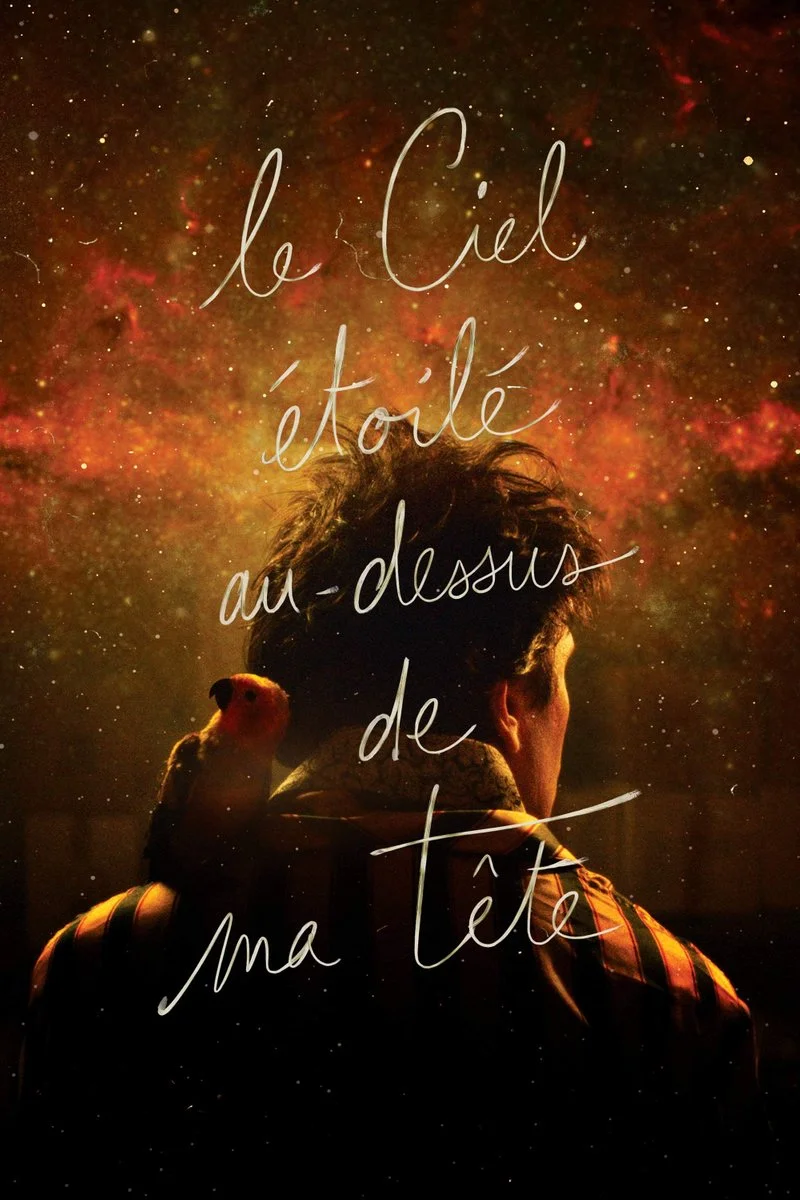 Affiche de Le ciel étoilé au-dessus de ma tête