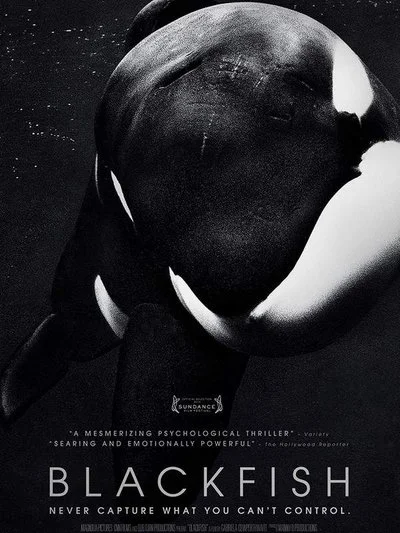 Affiche Blackfish