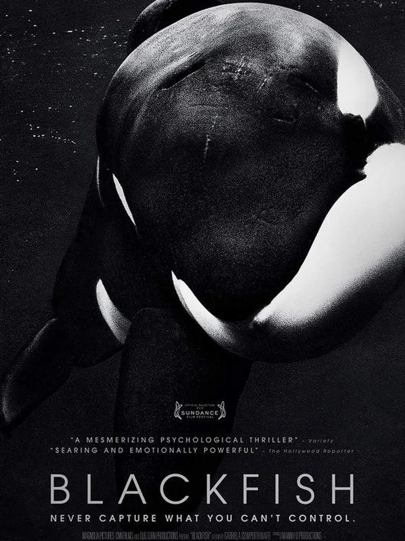 Affiche de Blackfish