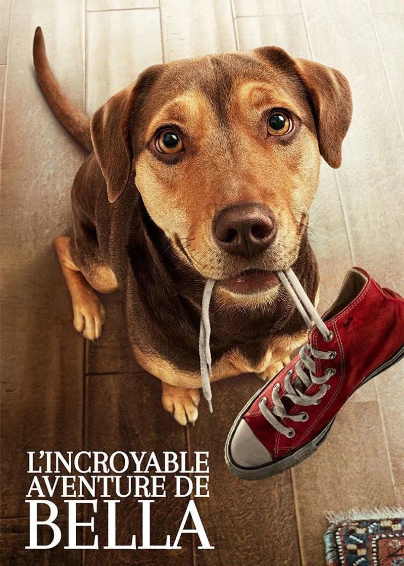 Affiche de L’Incroyable Aventure De Bella