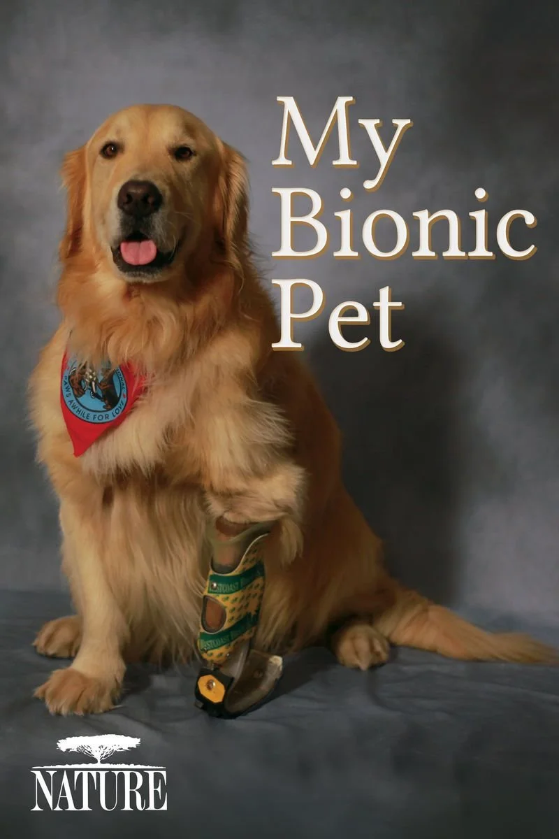 Affiche de My Bionic Pet