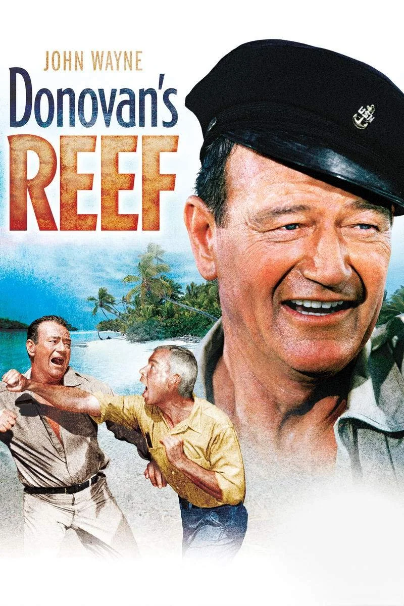 Affiche de La taverne de l'Irlandais