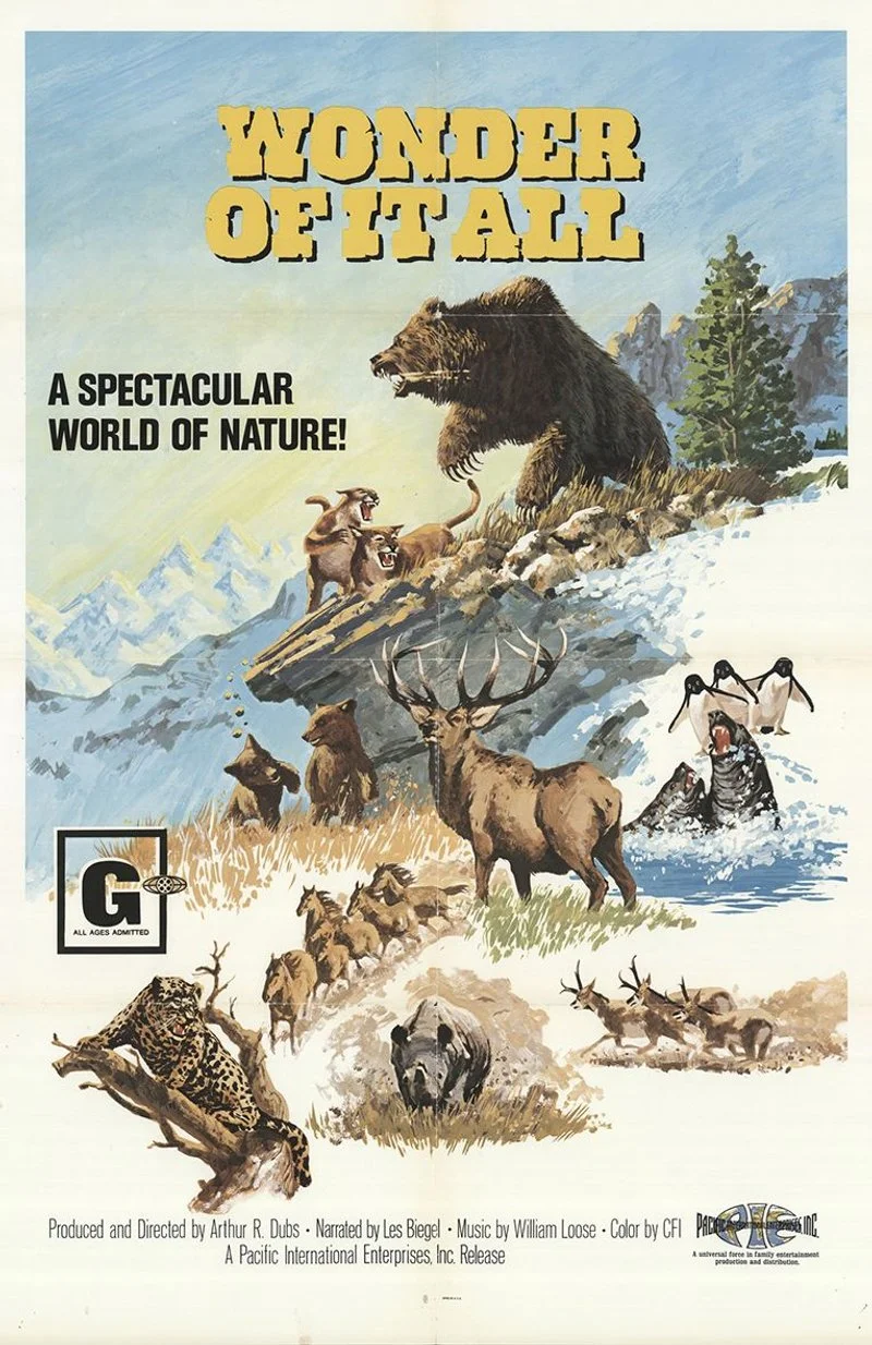 Poster van Wonder of It All