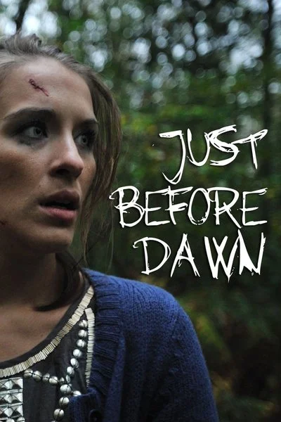 Poster Just Before Dawn