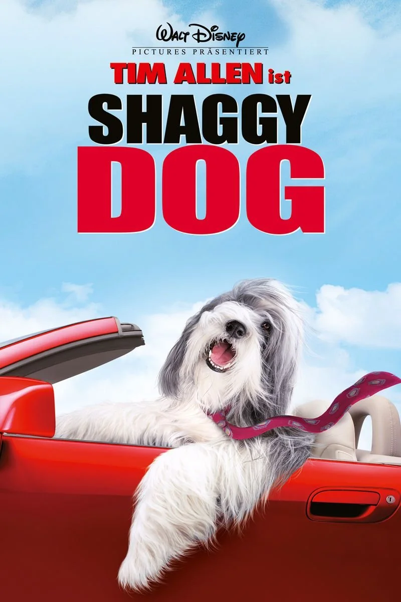 Affiche de Shaggy Dog - Hör mal wer da bellt