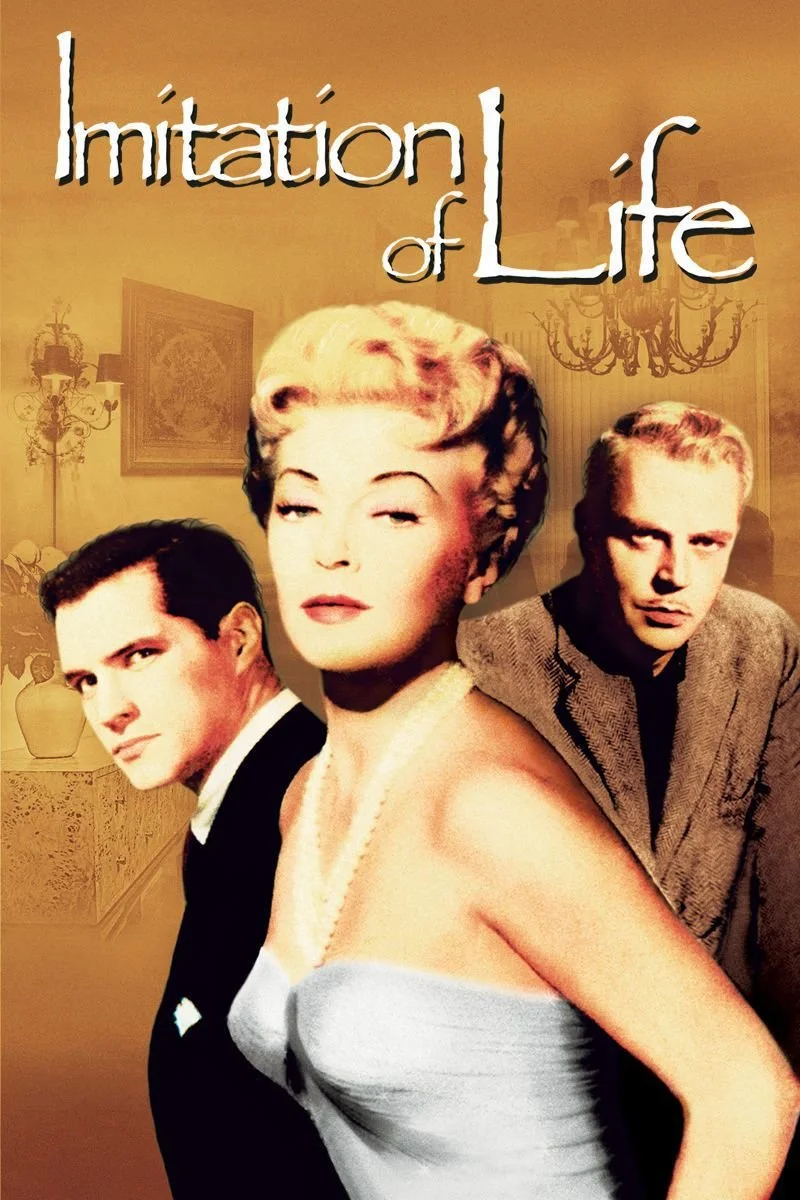 Affiche de Mirage de la vie