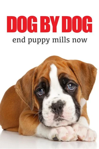 Affiche Dog By Dog