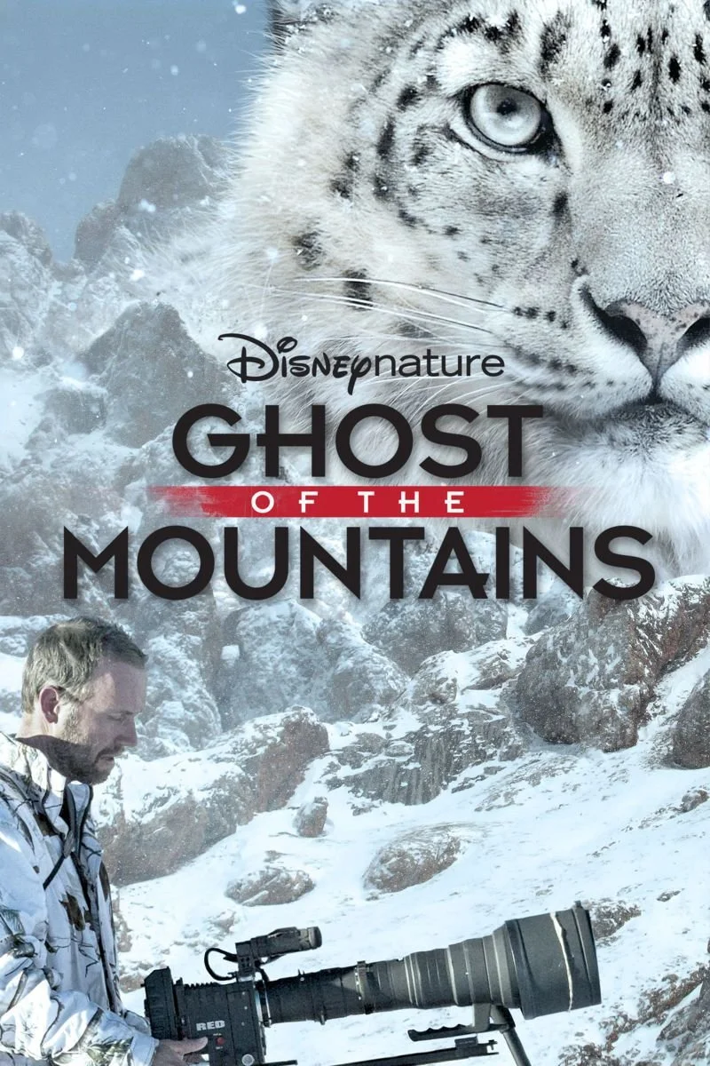 Affiche de La reine de la Montagne