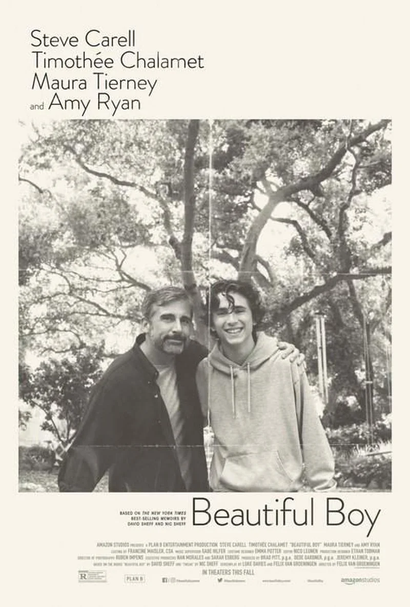 Affiche de Beautiful Boy