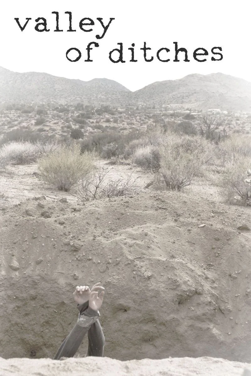 Poster van Valley of Ditches