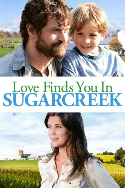 Affiche Love Finds You in Sugarcreek