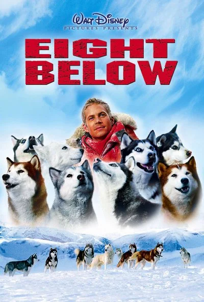 Poster Eight Below