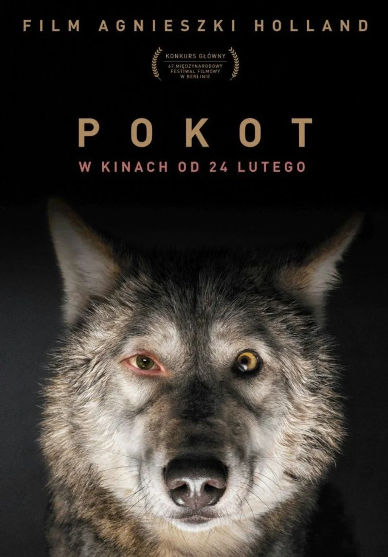 Poster van Pokot