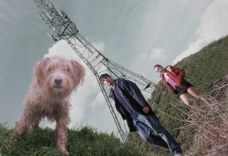 Poster van Dog