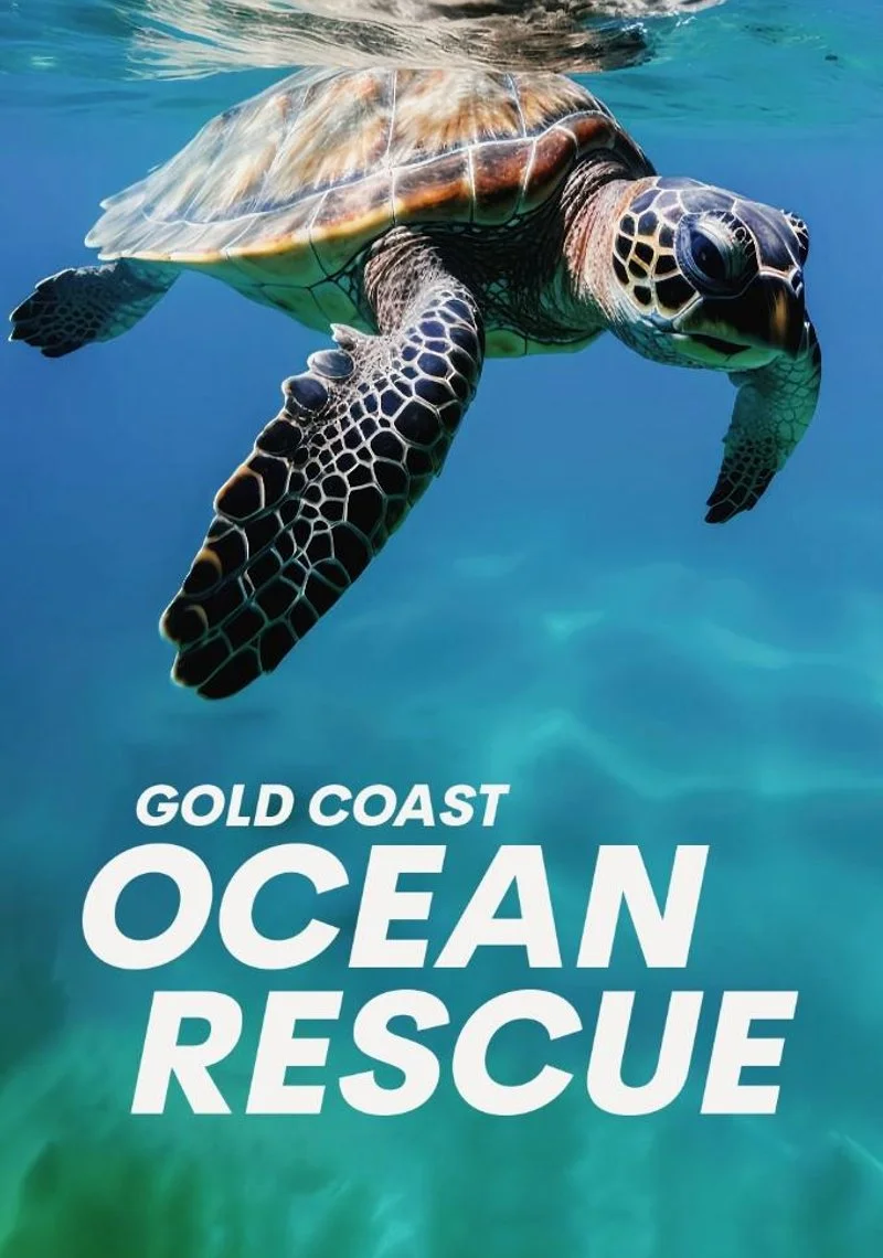 Poster van Gold Coast Ocean Rescue