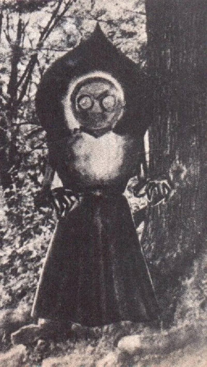 Poster van The Flatwoods Monster