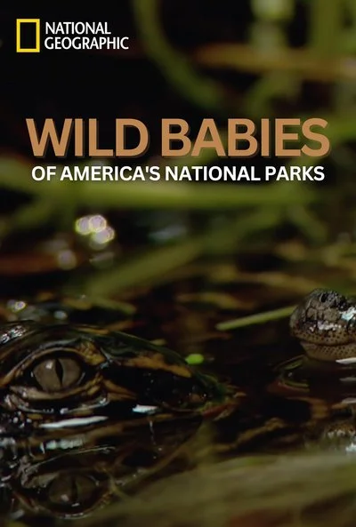 Poster America's National Parks
