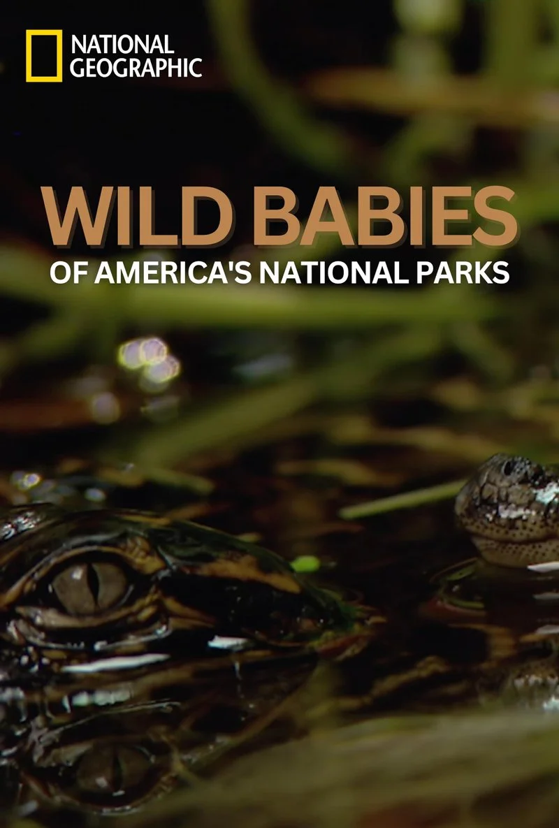 Poster van America's National Parks