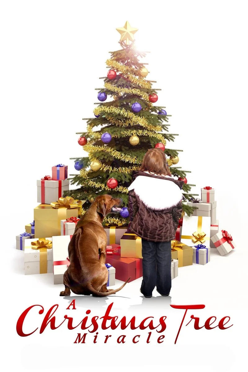 Affiche de Le Miracle de Noël