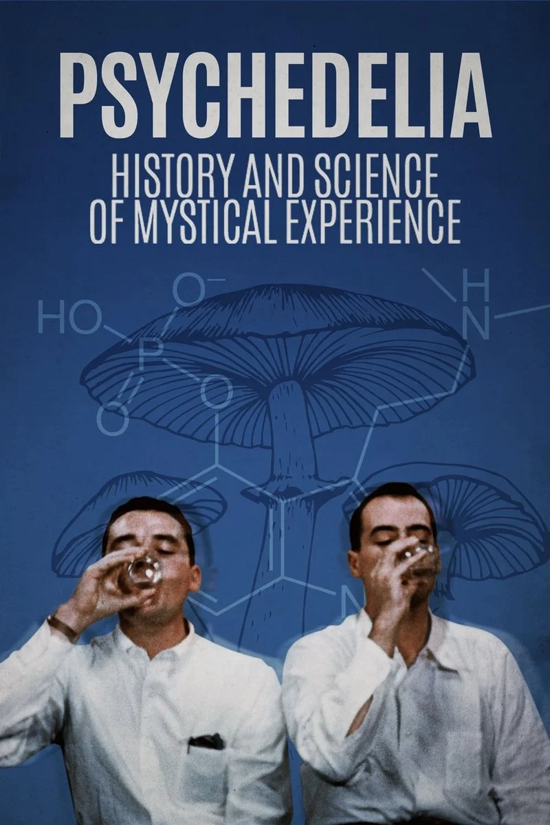Poster van Psychedelia: History and Science of Mystical Experience