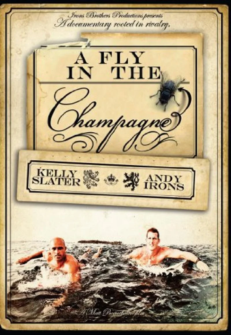 Poster van A Fly in the Champagne