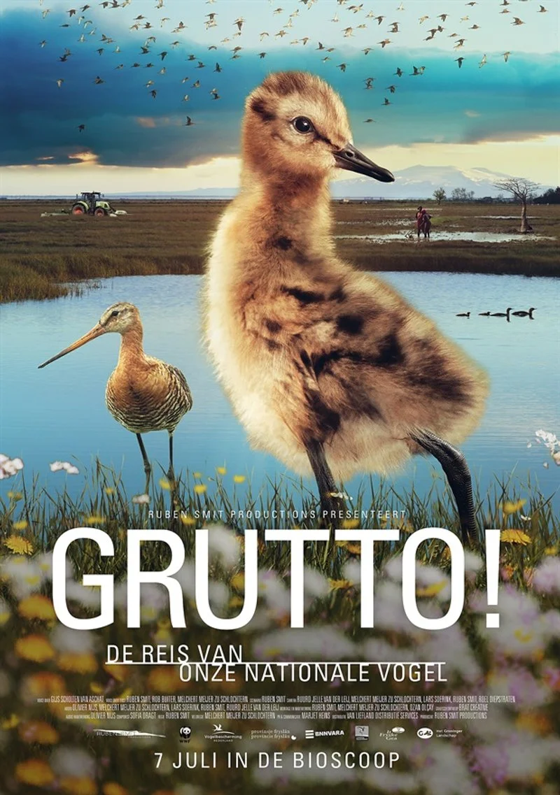Affiche de Grutto!