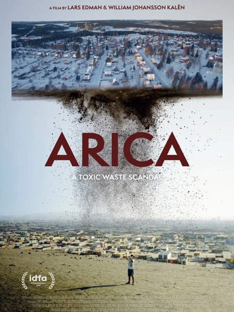 Poster van Arica