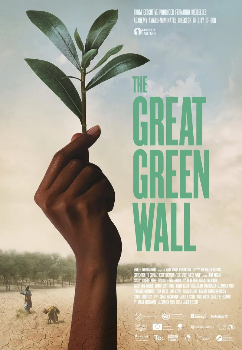 Affiche de The Great Green Wall
