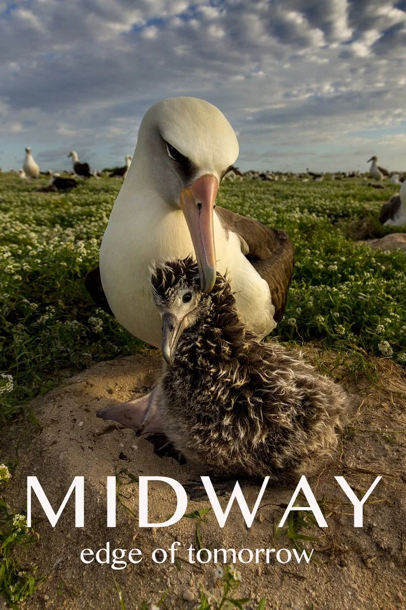 Poster van Midway: Edge of Tomorrow