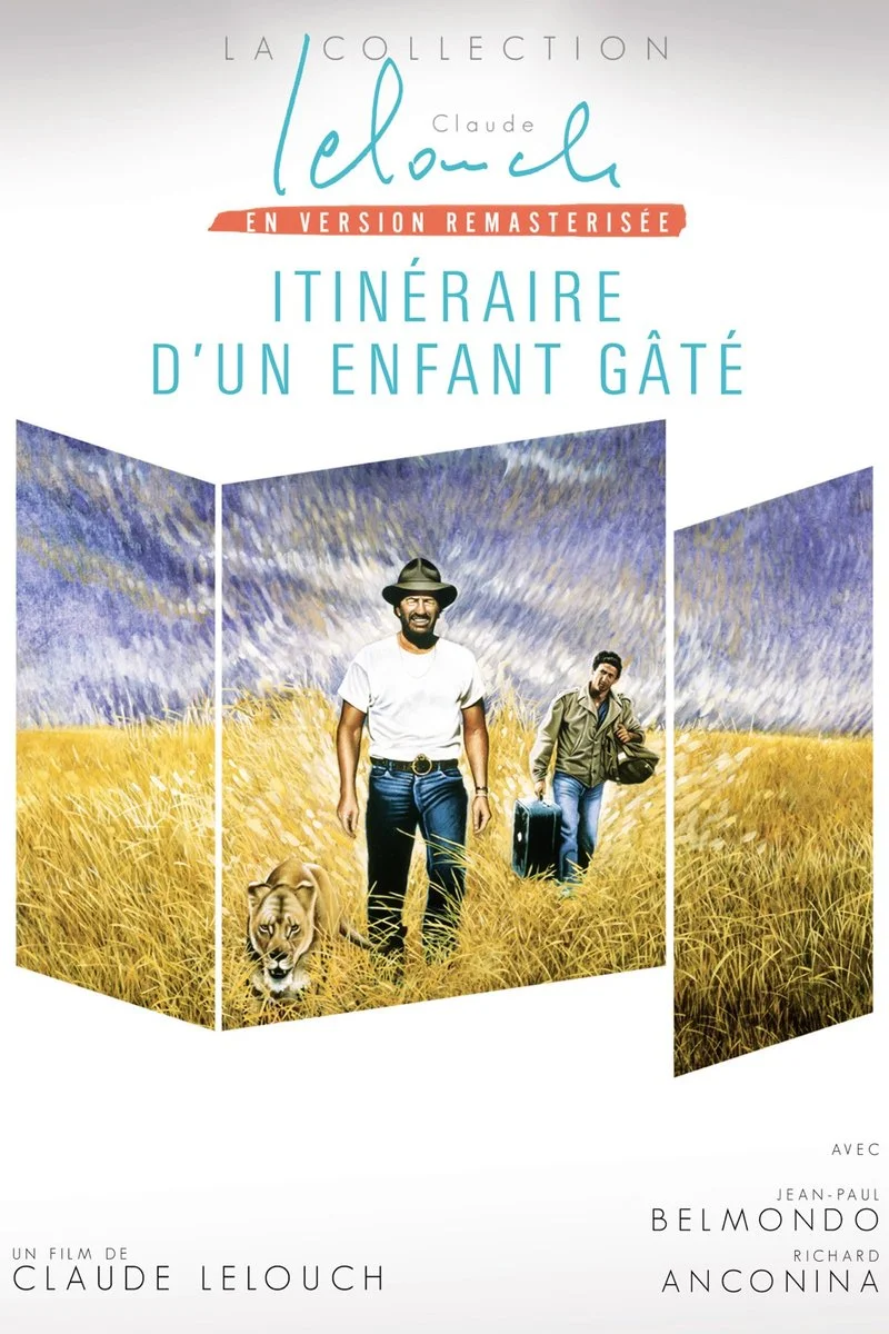 Affiche de Itinéraire d'un enfant gâté