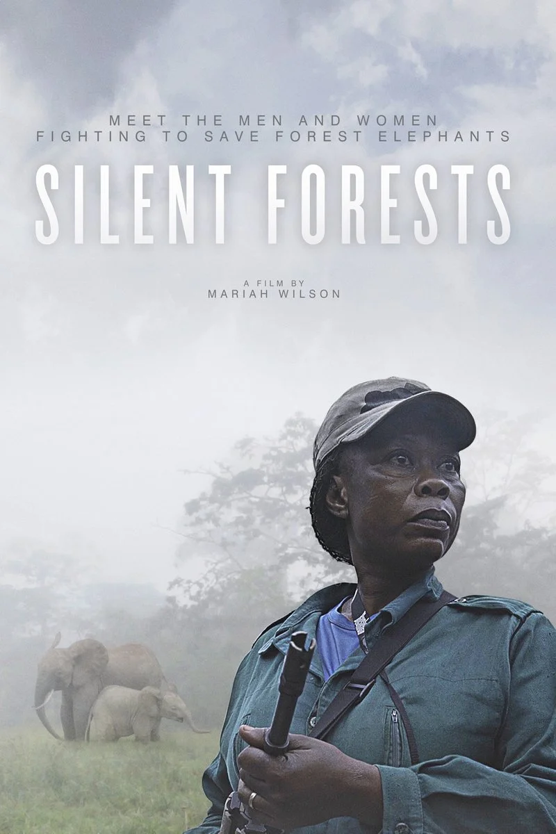Affiche de Silent Forests