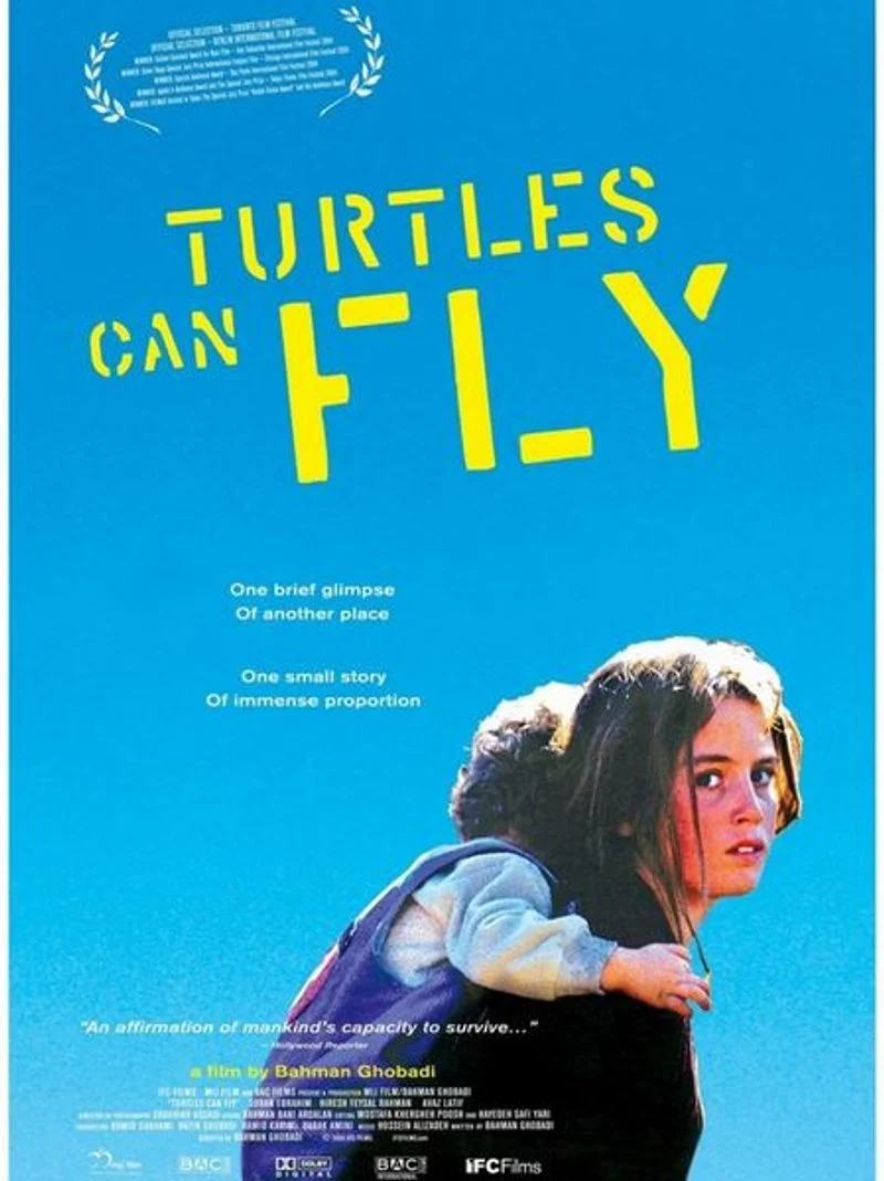 Affiche de Turtles Can Fly