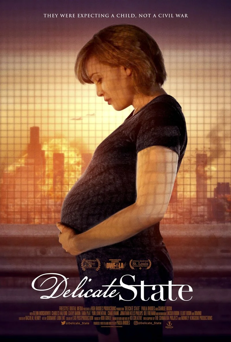 Affiche de Delicate State