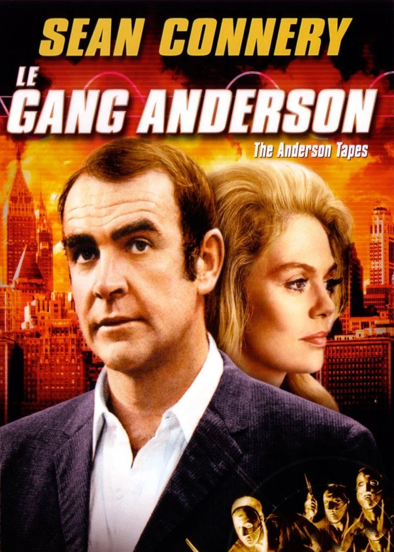 Affiche de Le Gang Anderson