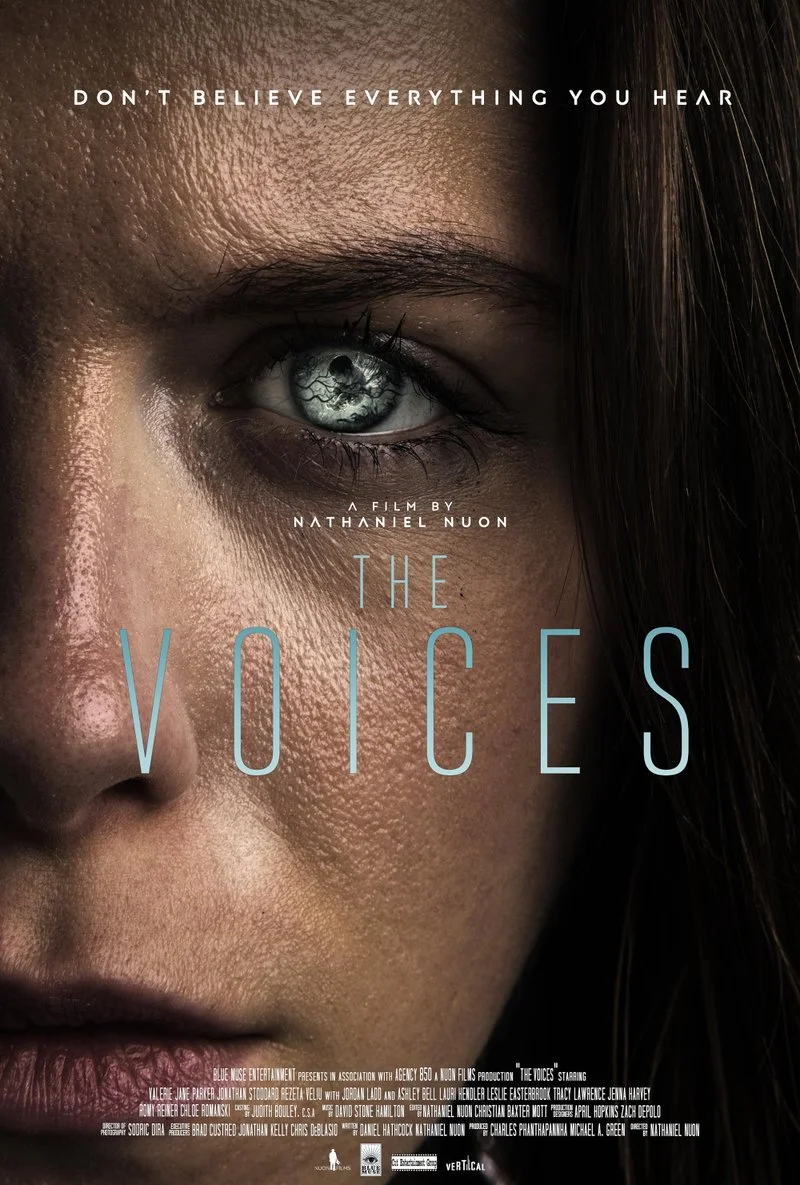 Affiche de Voices