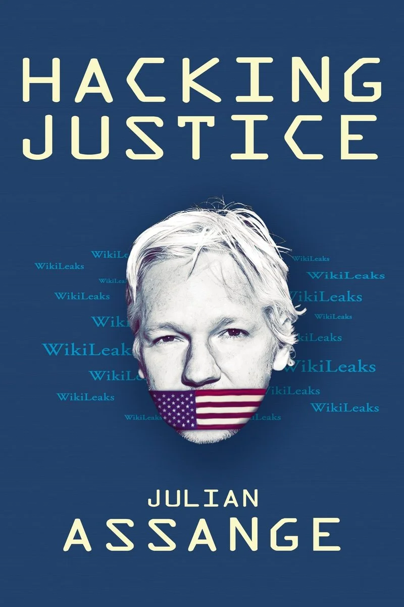 Affiche de Hacking Justice