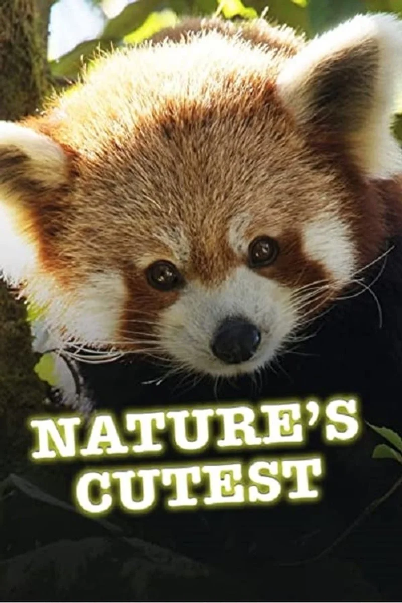 Affiche de Nature's Cutest