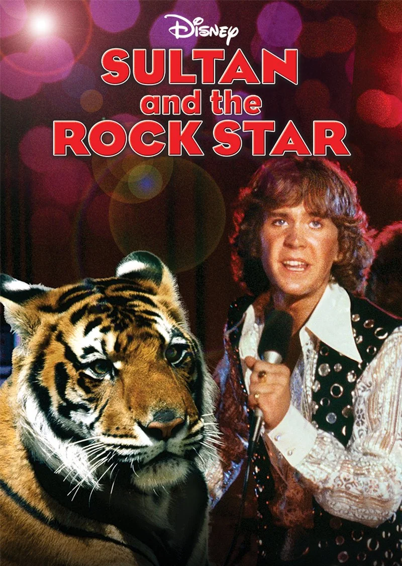 Poster van Sultan and the Rock Star